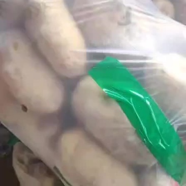 土豆