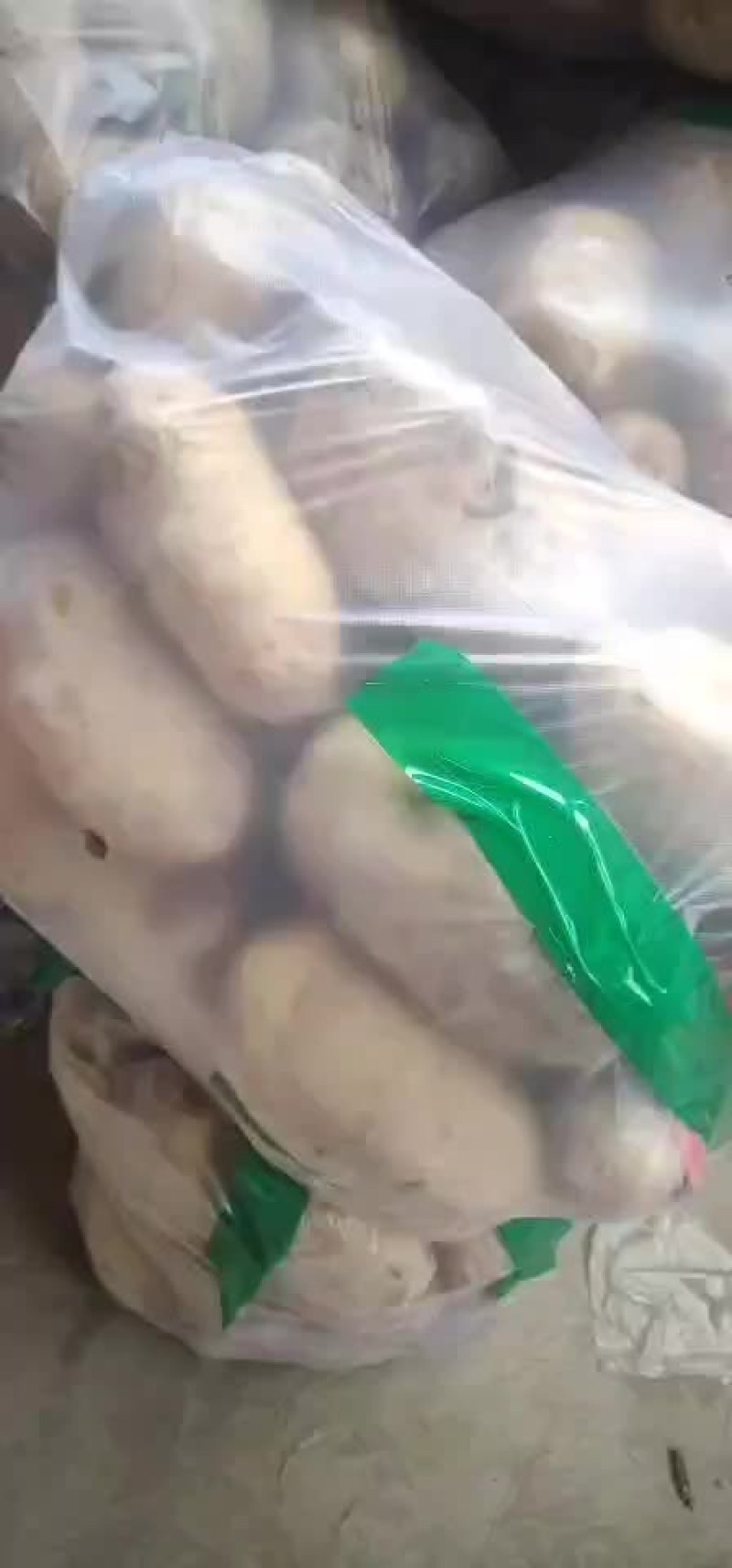 土豆