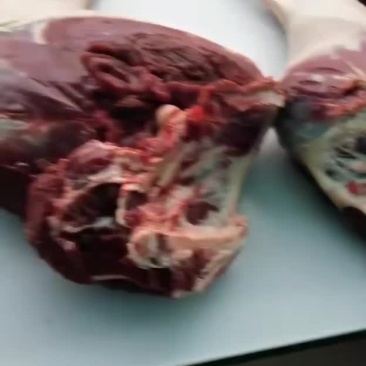 鹿肉