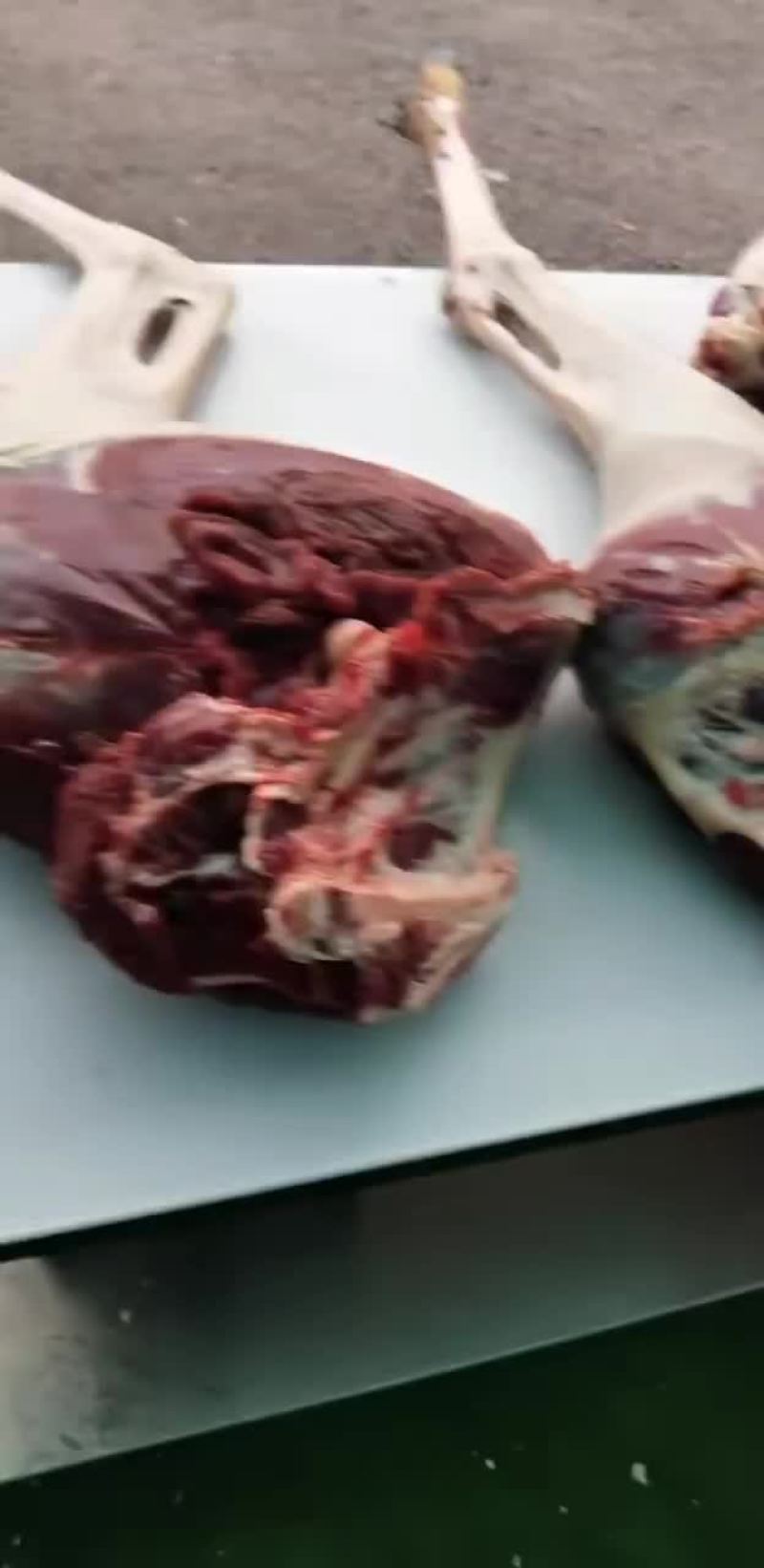 鹿肉