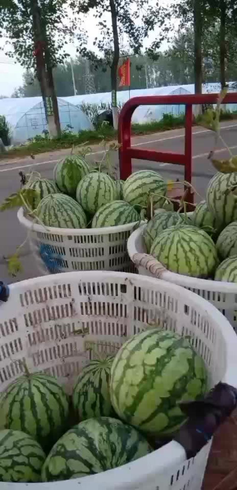 8424