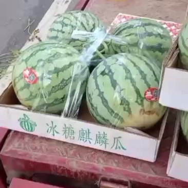 8424