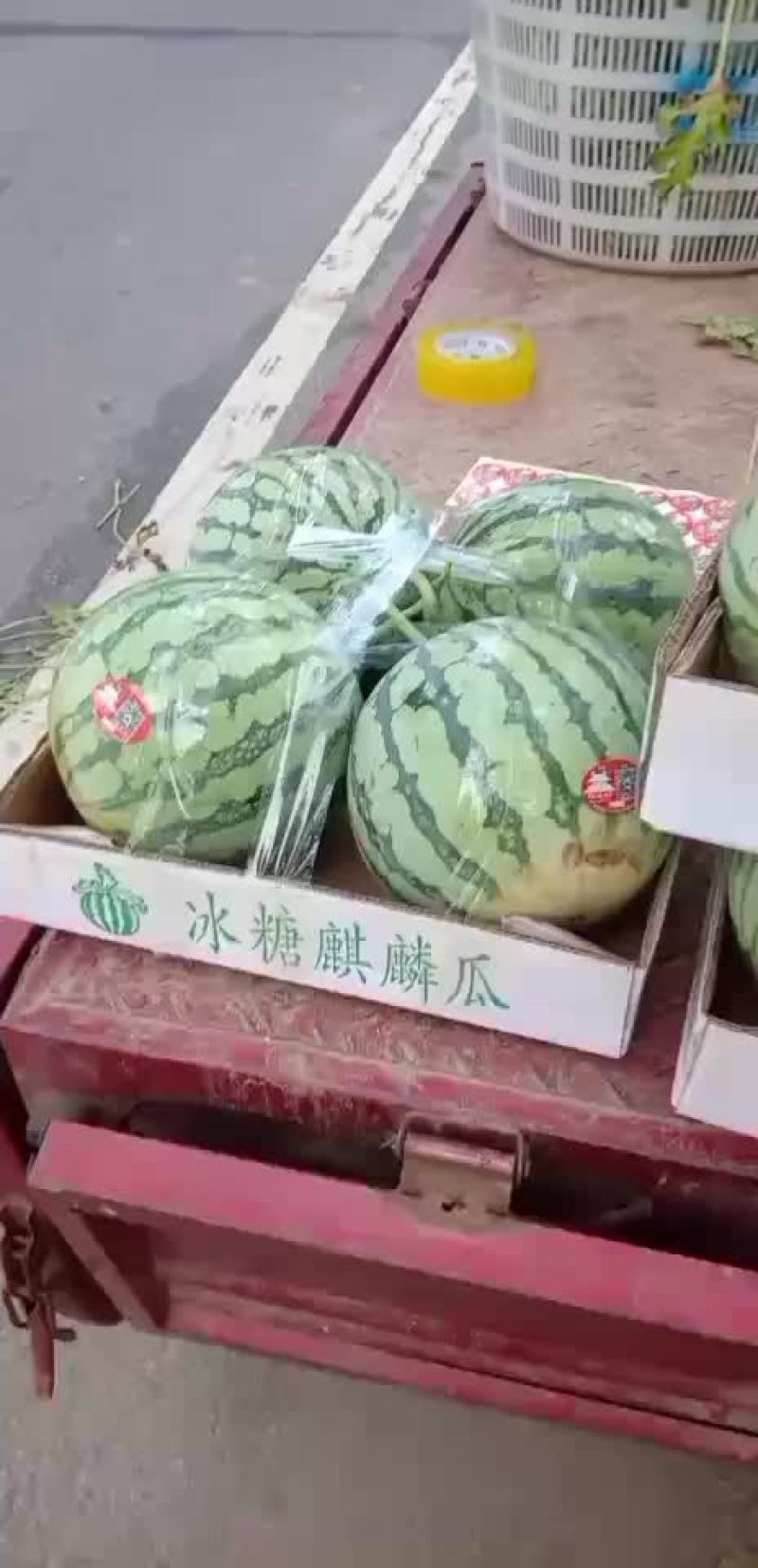 8424