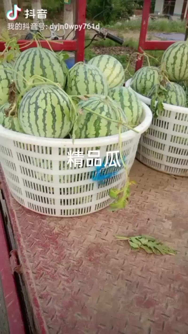 8424