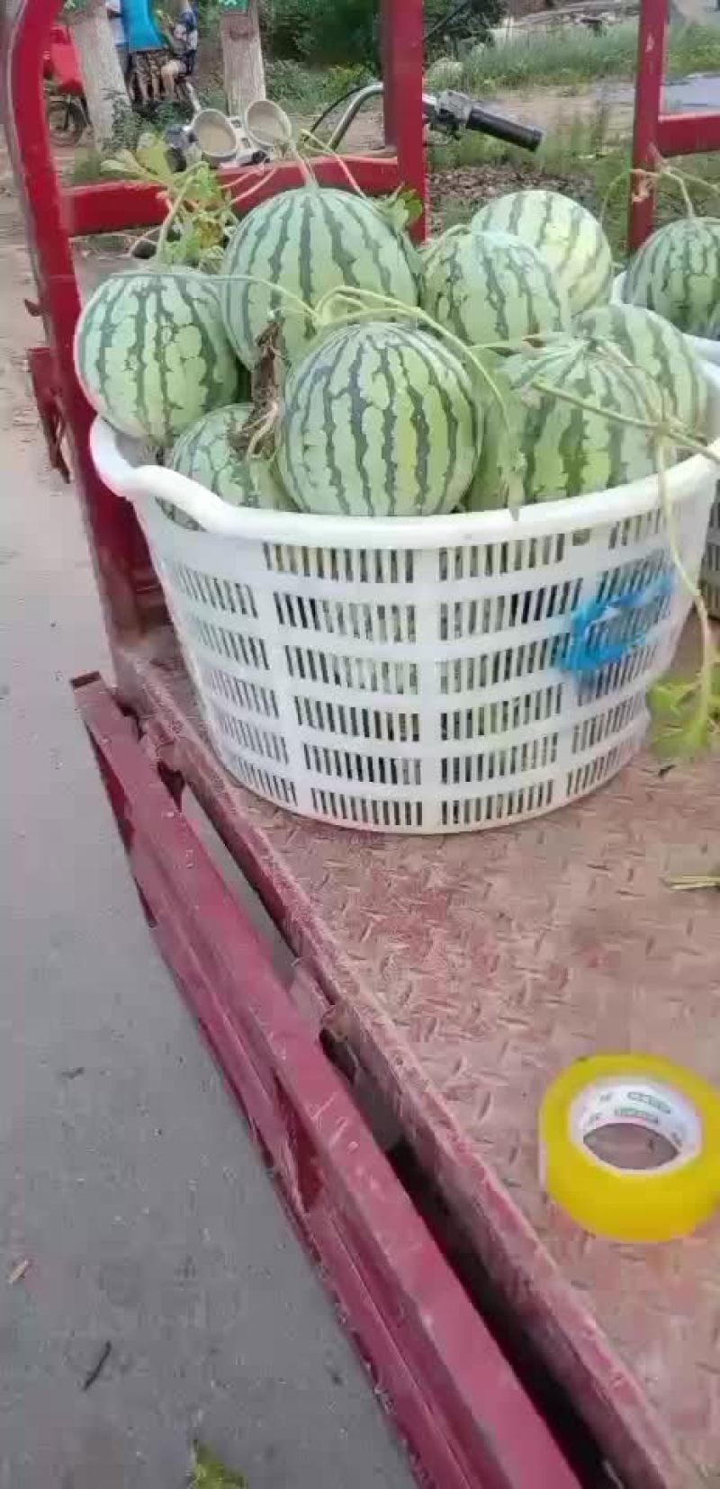 8424