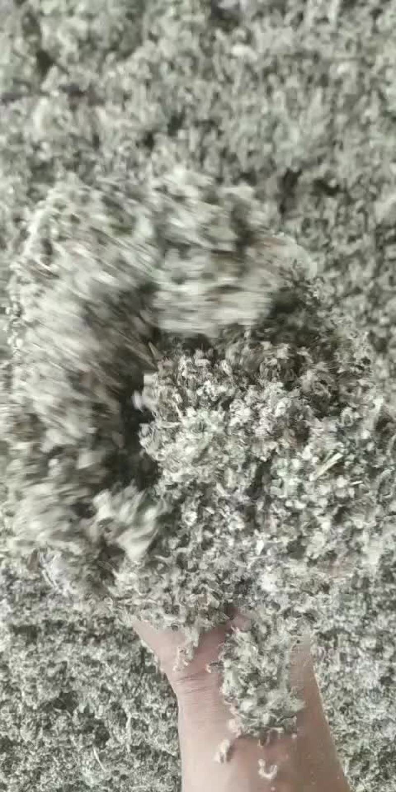 中壳长绒棉籽壳
