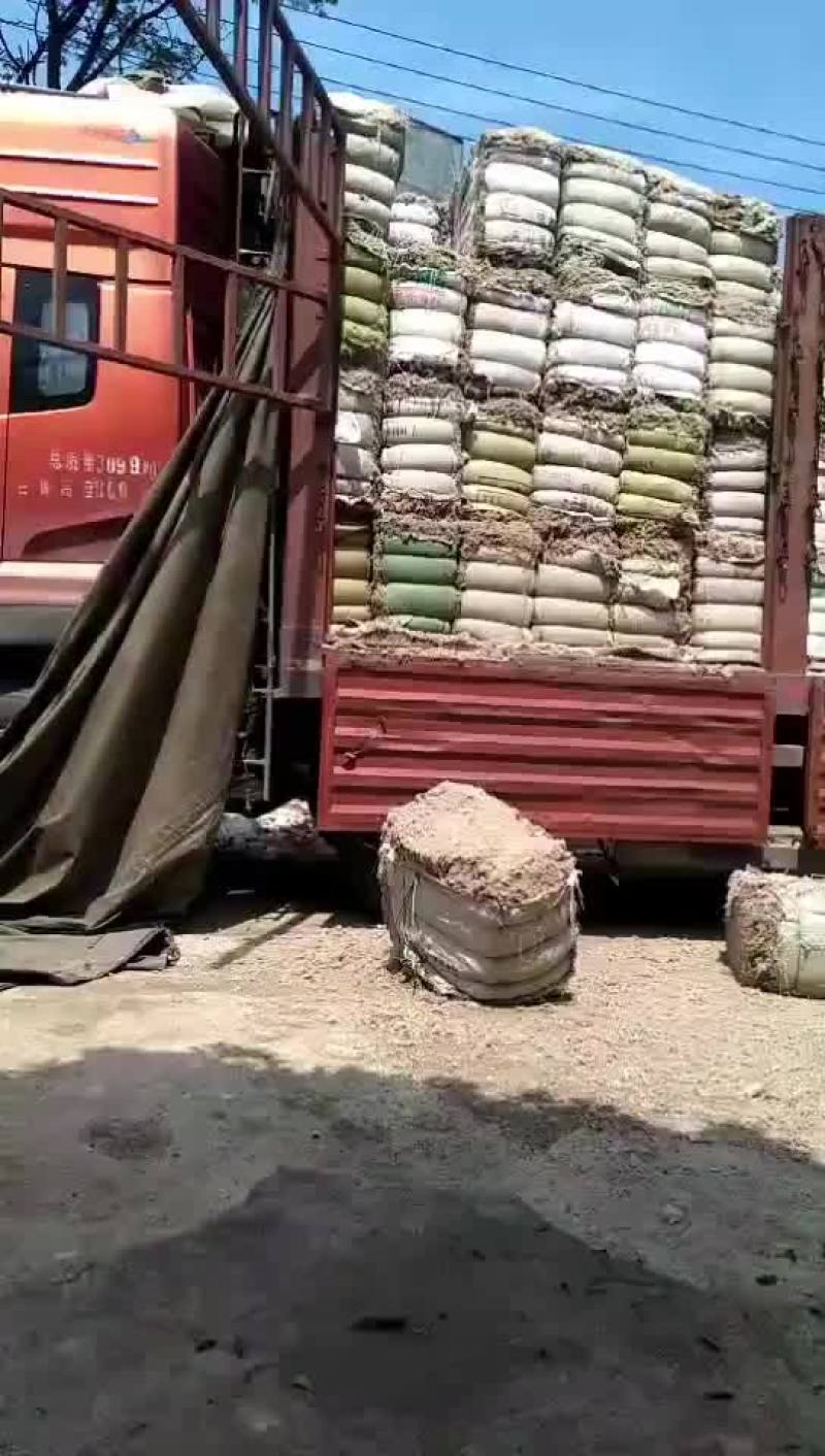 棉渣
