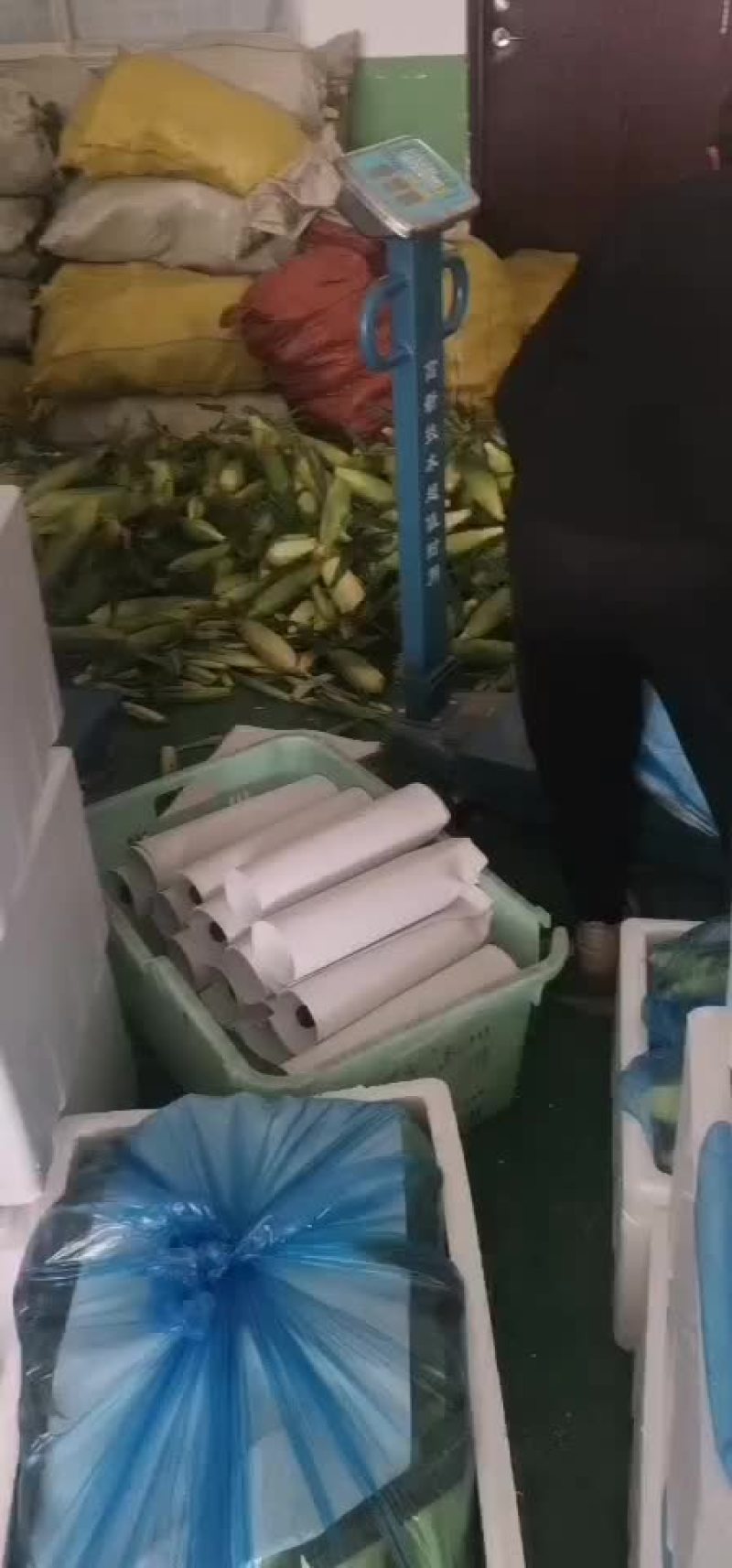 水果玉米大量有货（黄加白8两起步尖饱满，没有鸟吃