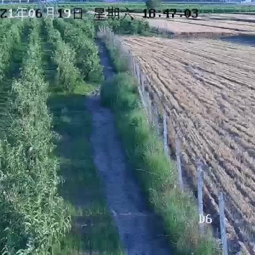 大型农场转让或合作