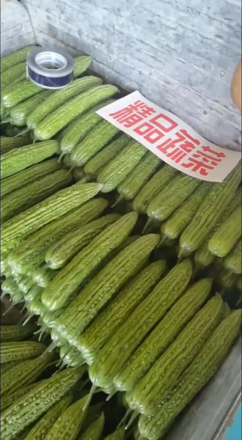 价格便宜，优良品种，需要联系，质量保证