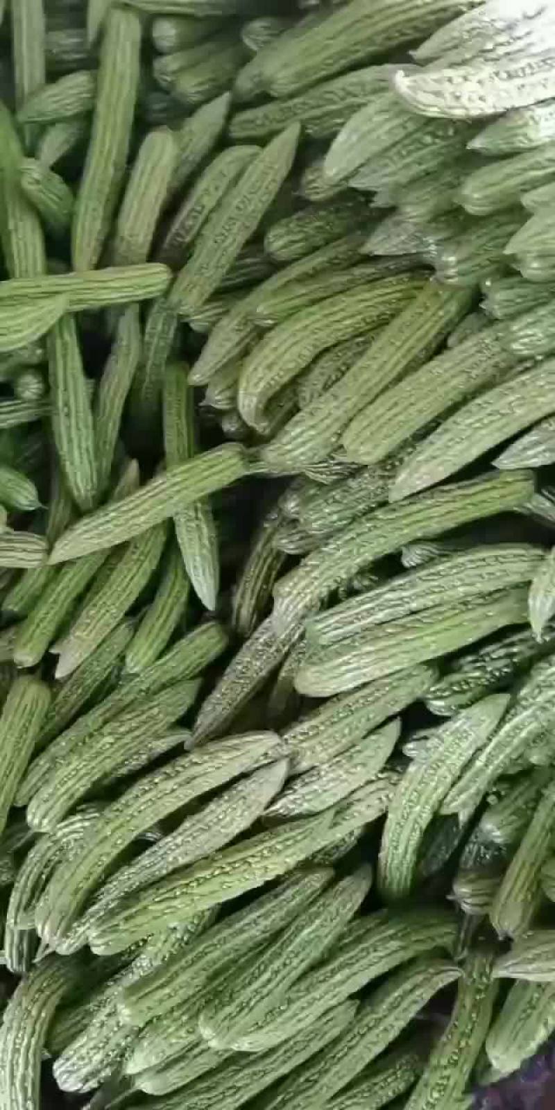 价格便宜，优良品种，需要联系，质量保证
