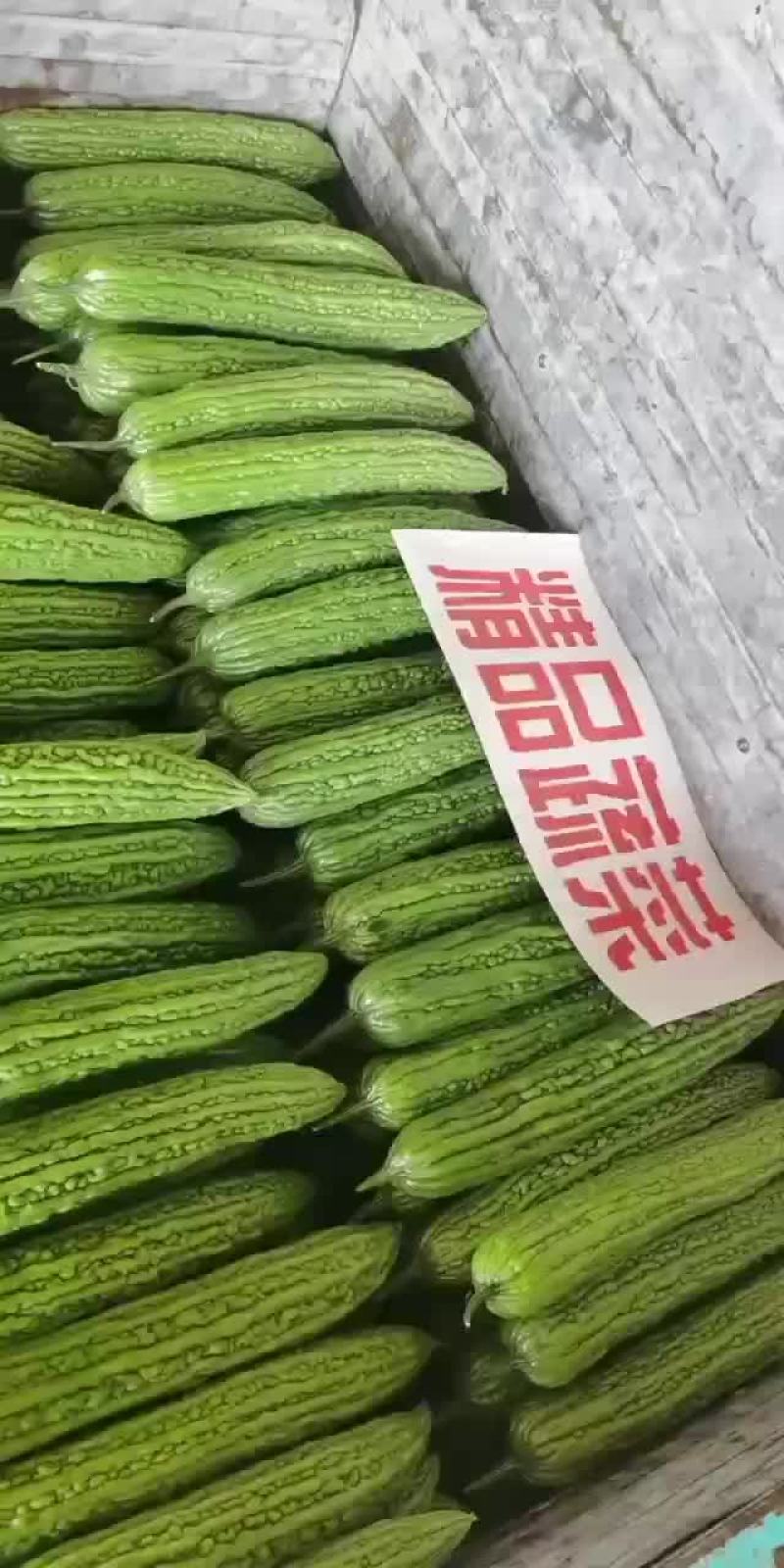 价格便宜，优良品种，需要联系，质量保证
