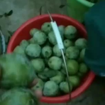 奈李