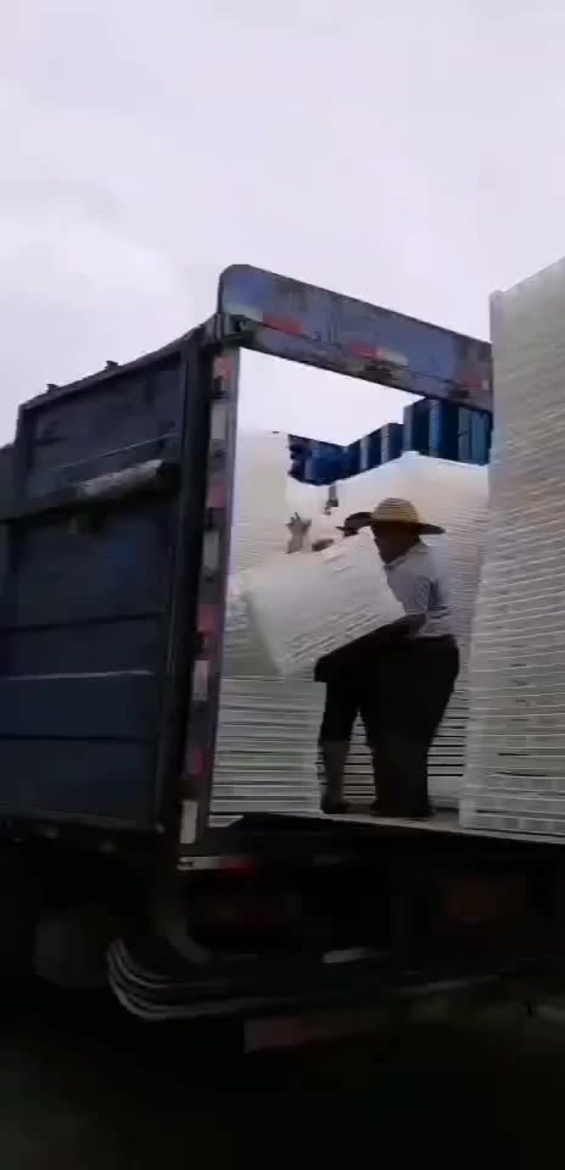 干冻器发货了