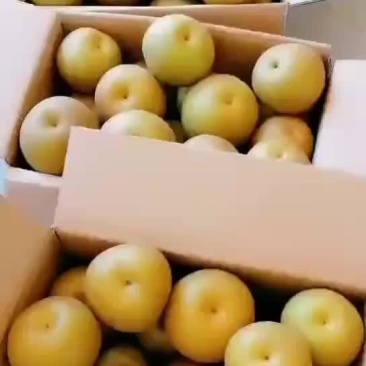 特优品华梨