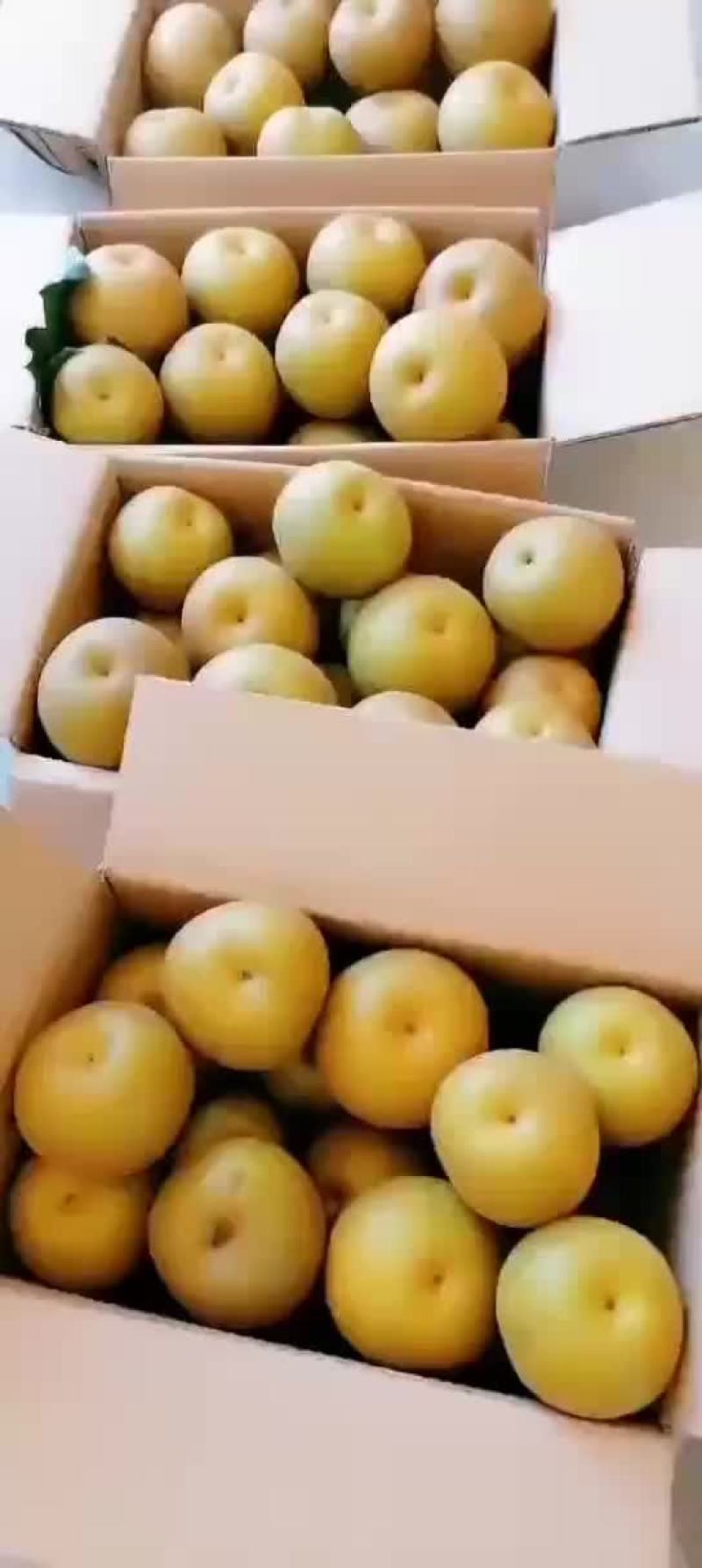 特优品华梨