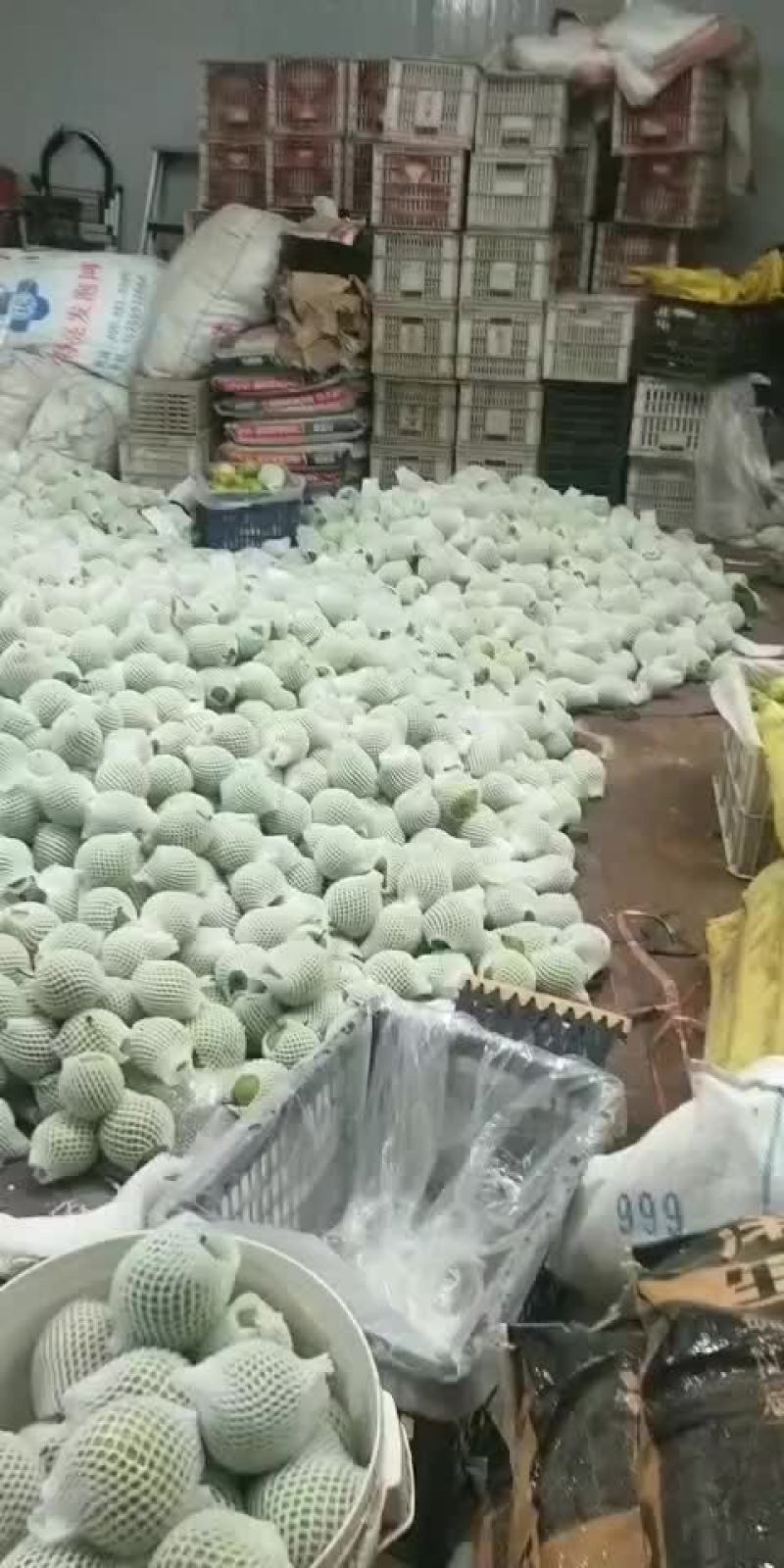 我在最最美好的夏天等你，你尽管来，我一直在！