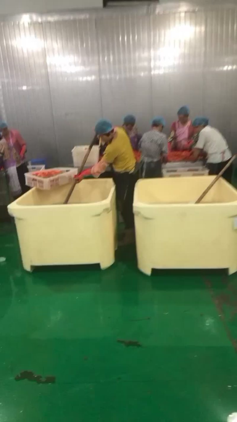 黑虎虾