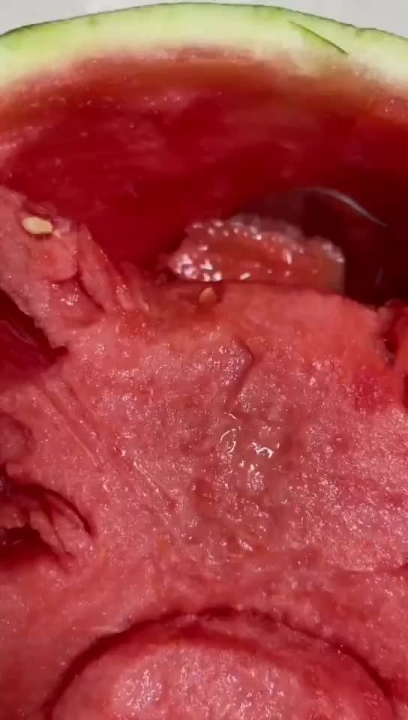 河南中华绿龙