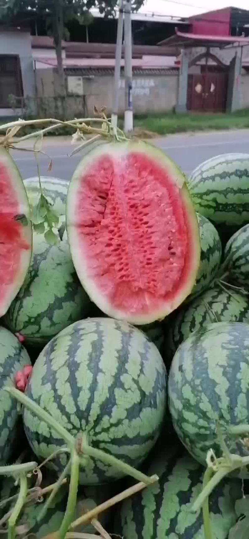 河南中华绿龙