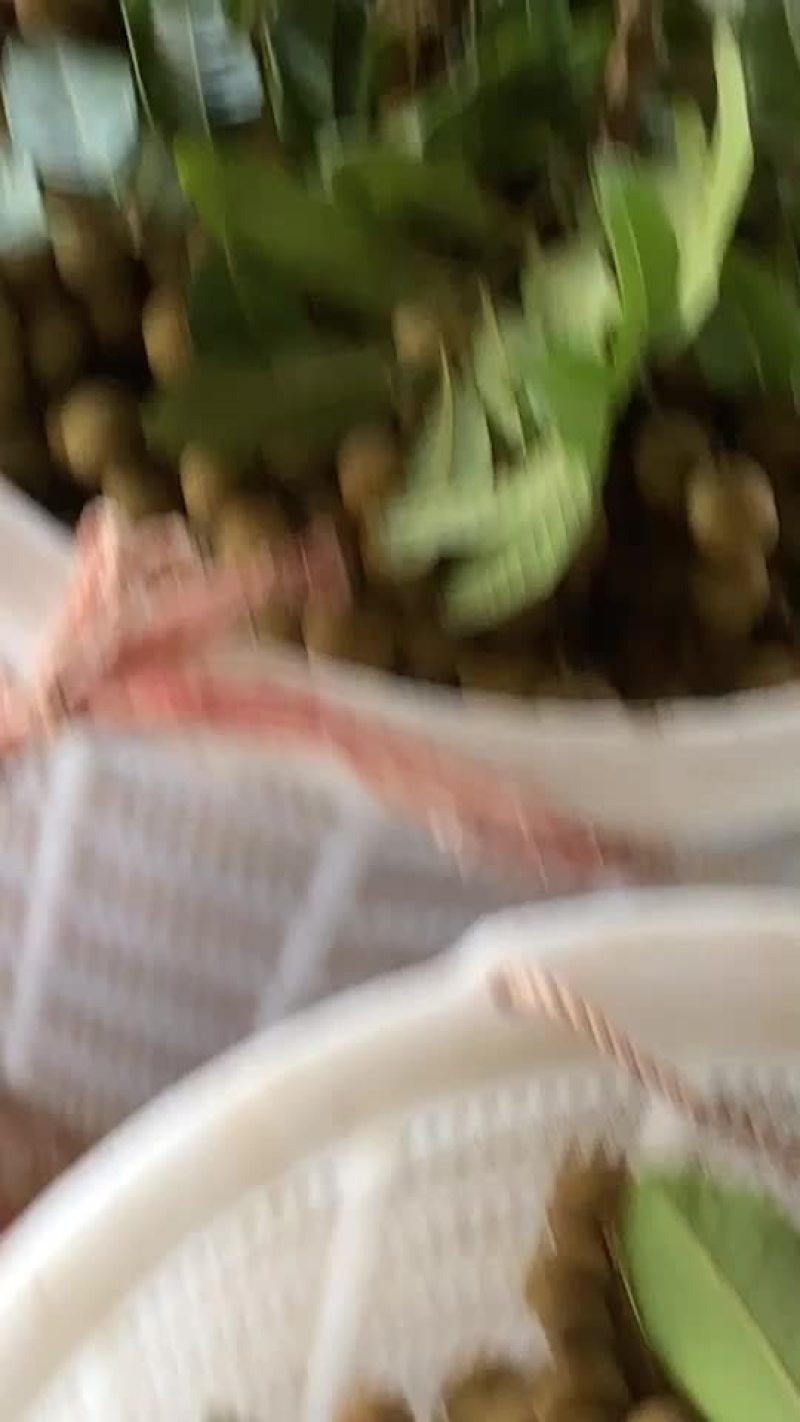 龙眼货源
