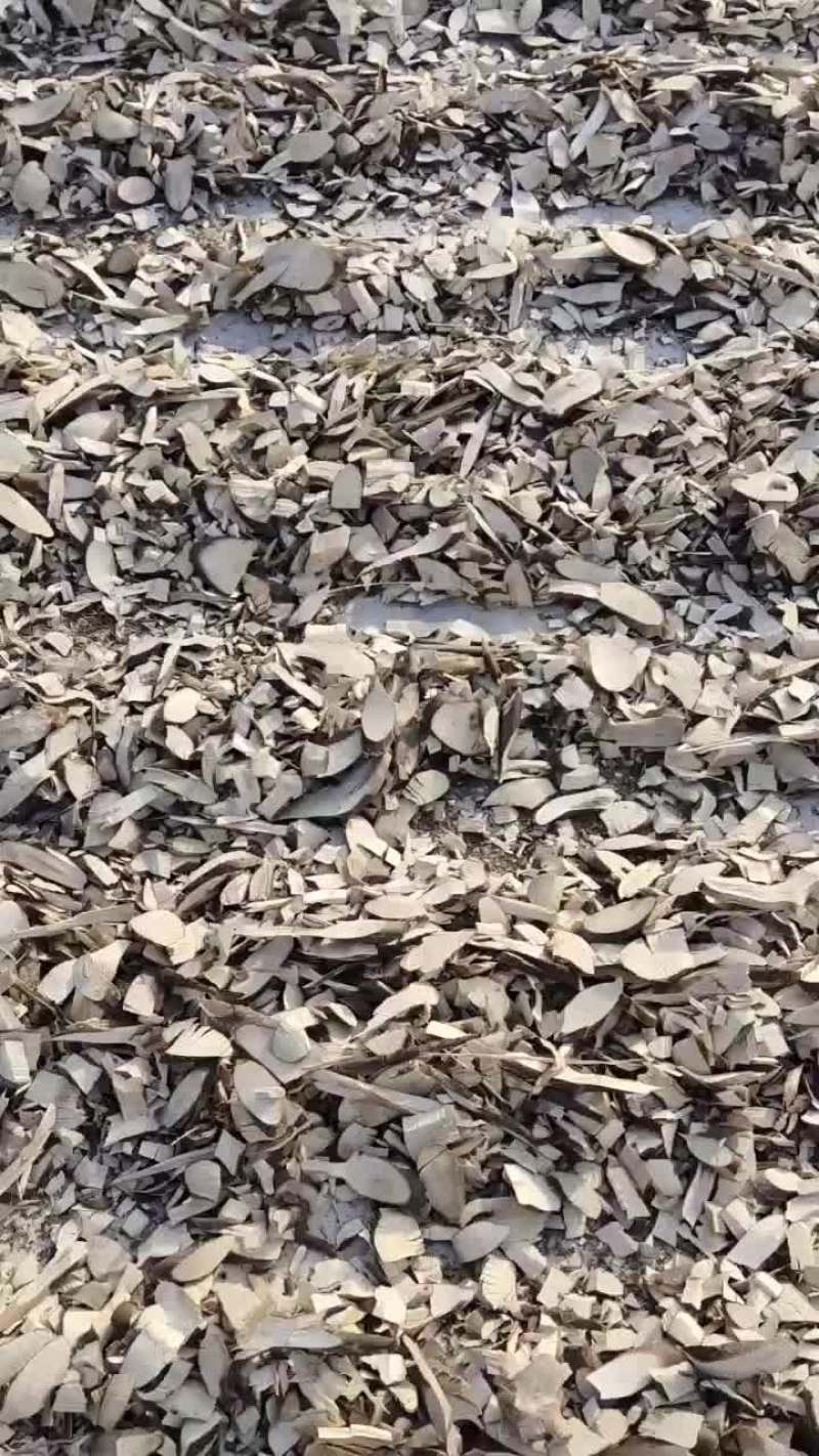 岗梅，产地直销大量鲜货，切片