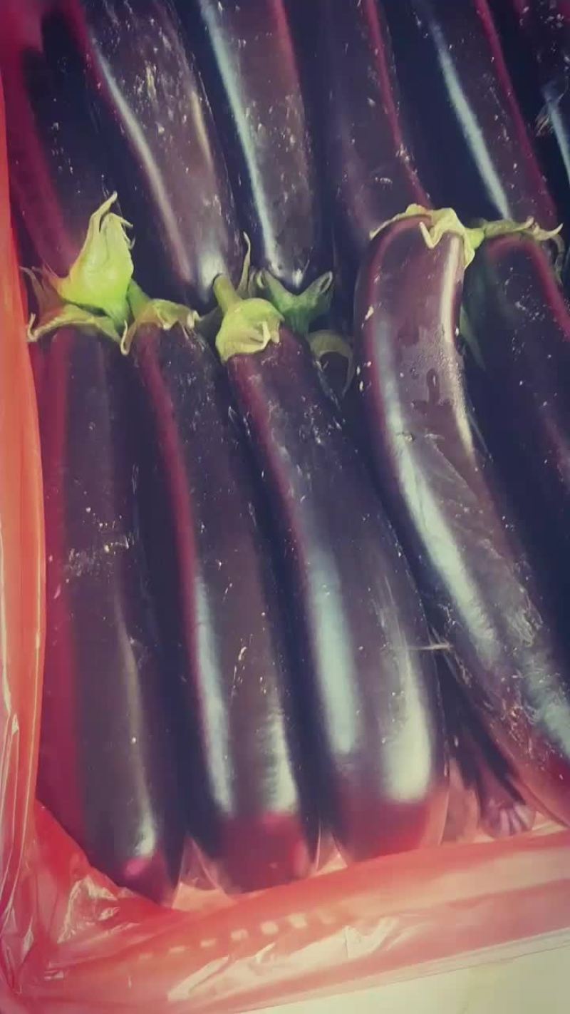 茄子