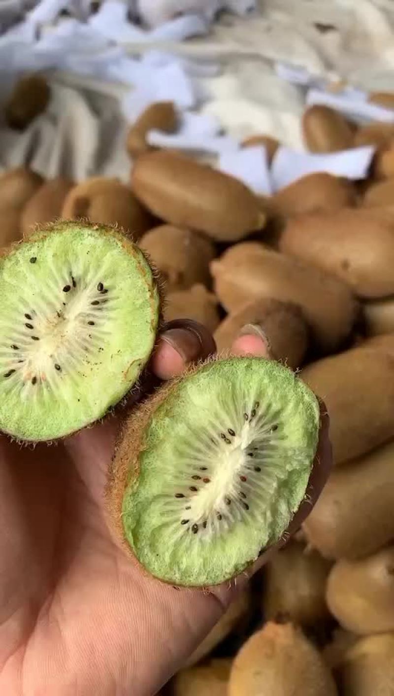 绿心猕猴桃，米粮一号，湘西永顺大量供应，