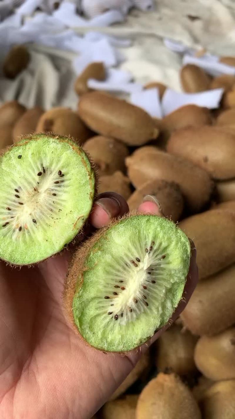 绿心猕猴桃，米粮一号，湘西永顺大量供应，