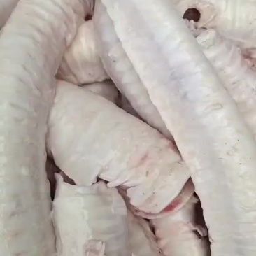 牛肺管，需要的老板联系我