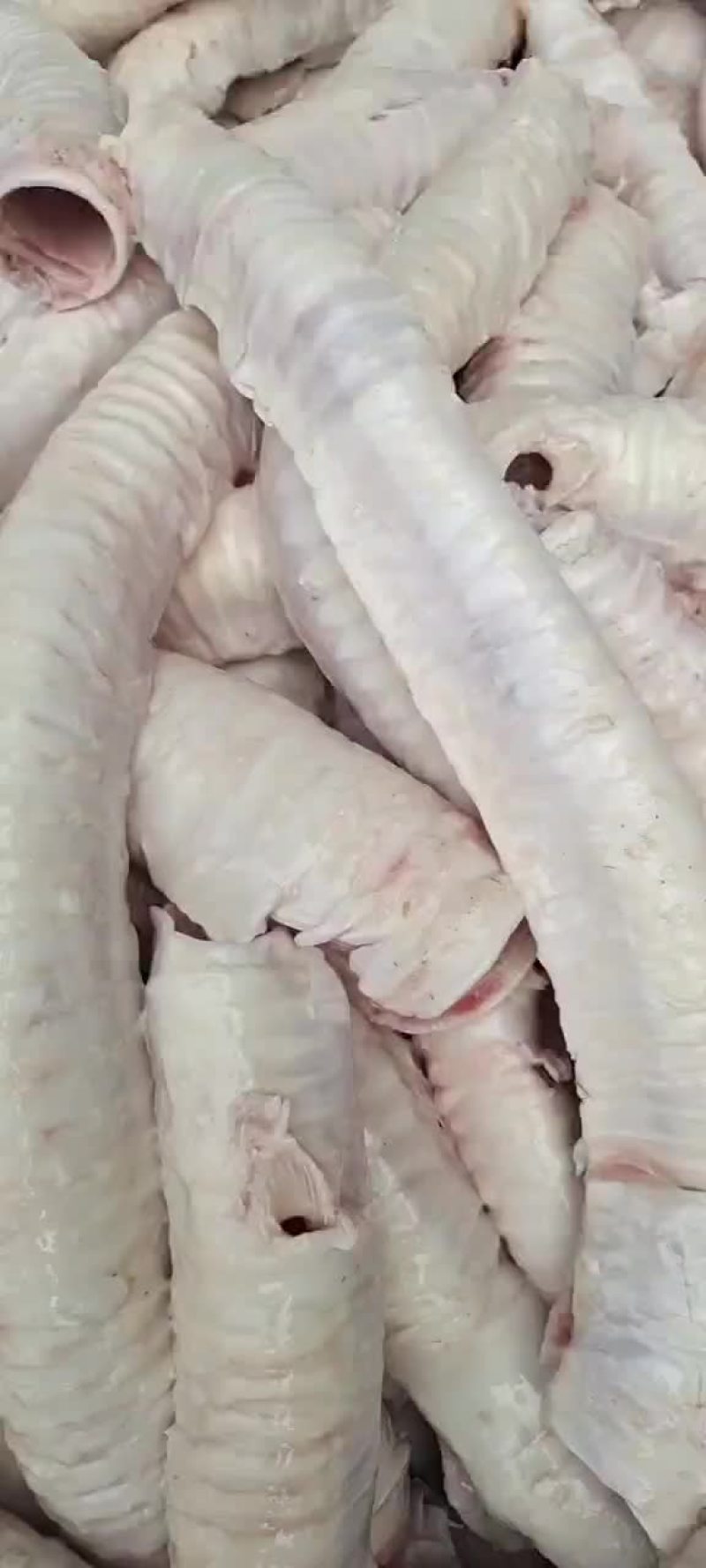 牛肺管，需要的老板联系我