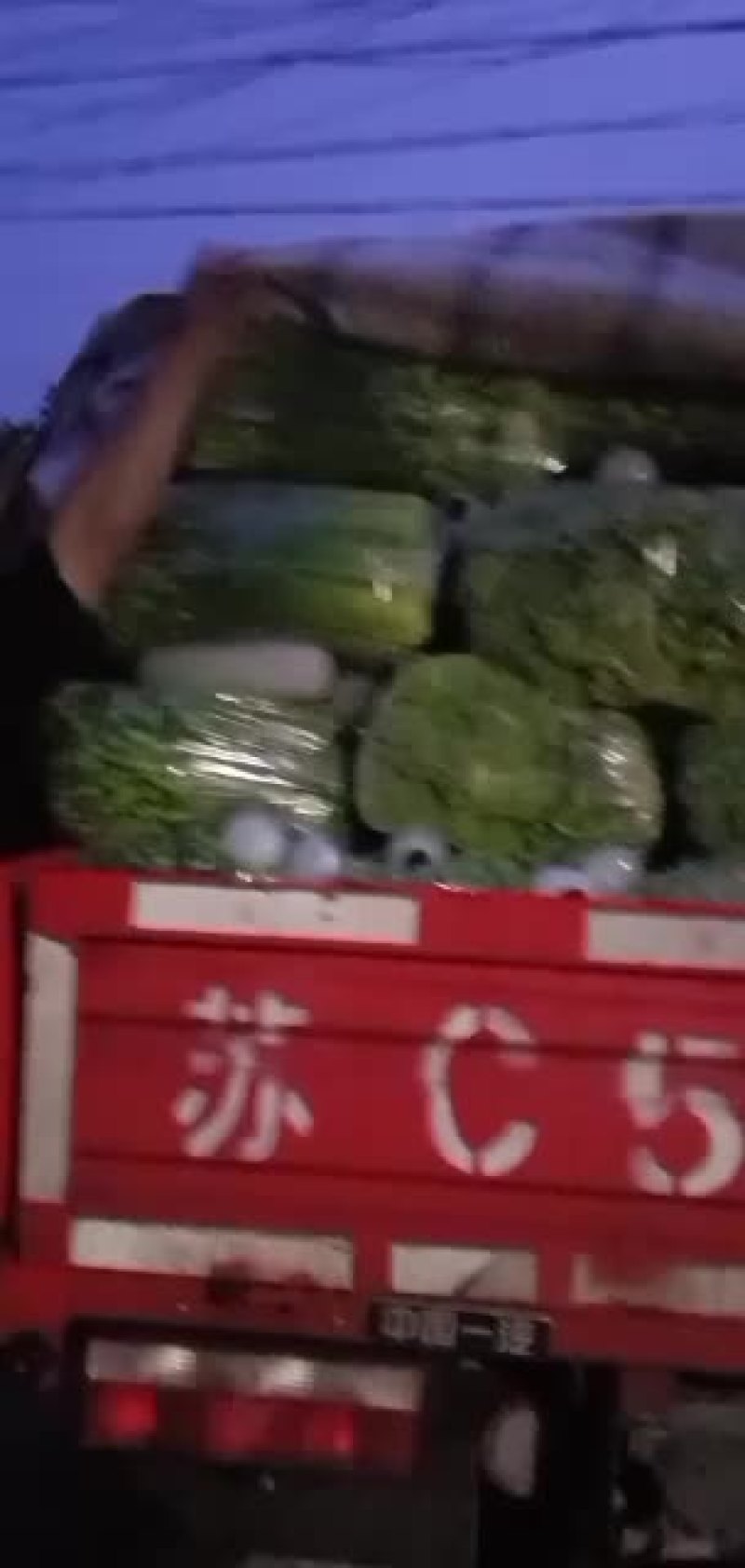 精品韭苔大量上市价格美丽