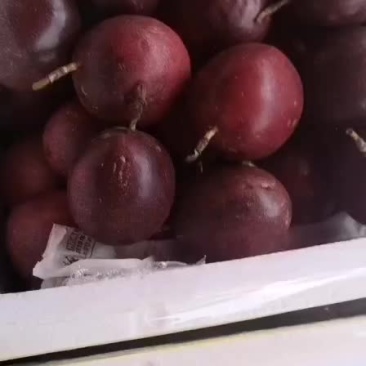 台农百香果