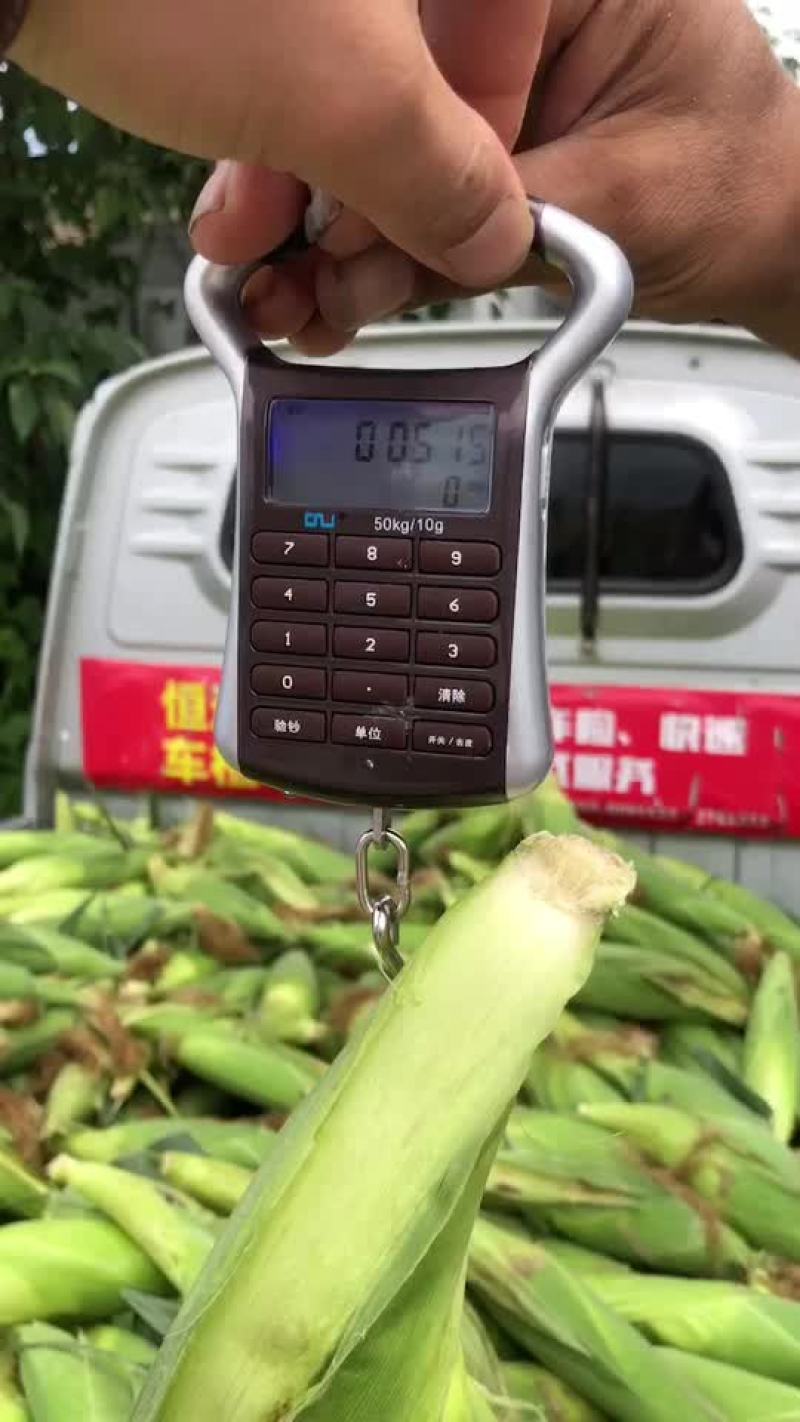 万糯2000大量有货，需要的联系