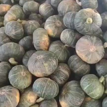 南瓜
