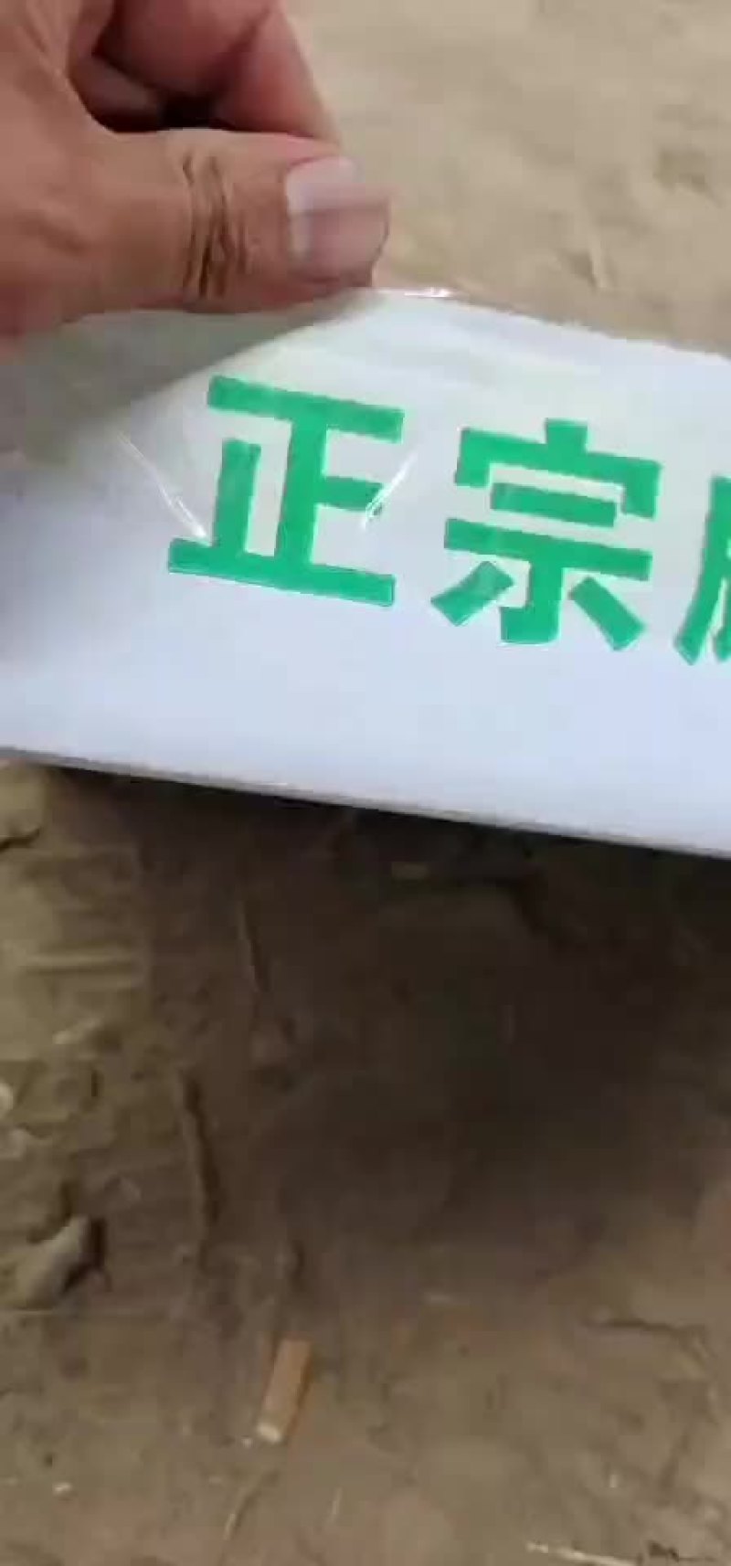 河南开封金花无籽西瓜产地直发一手货源充足品质保证