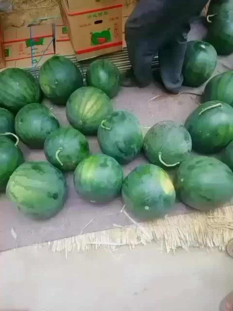 哈密瓜
