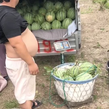 8424