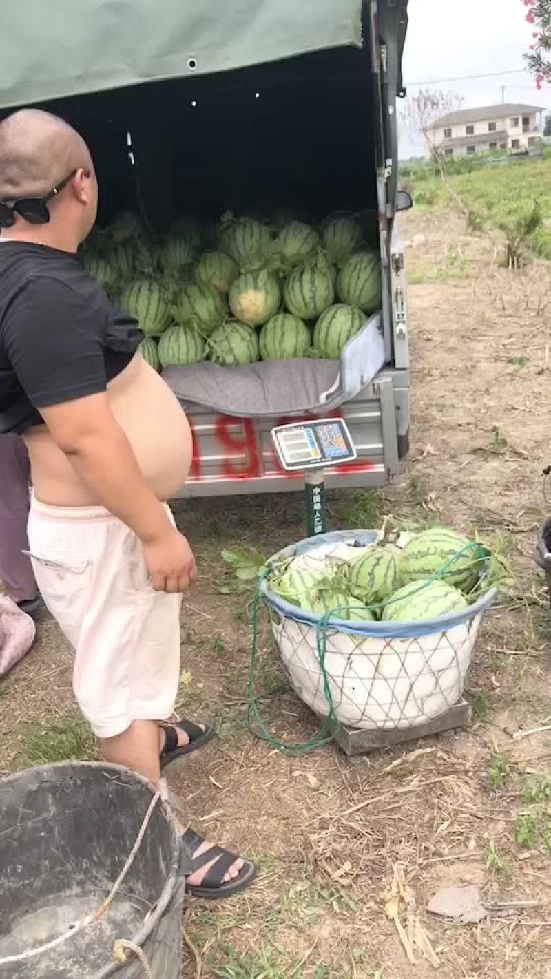 8424