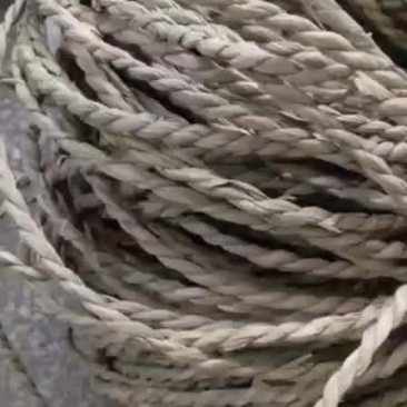 干蒲草，蒲草绳