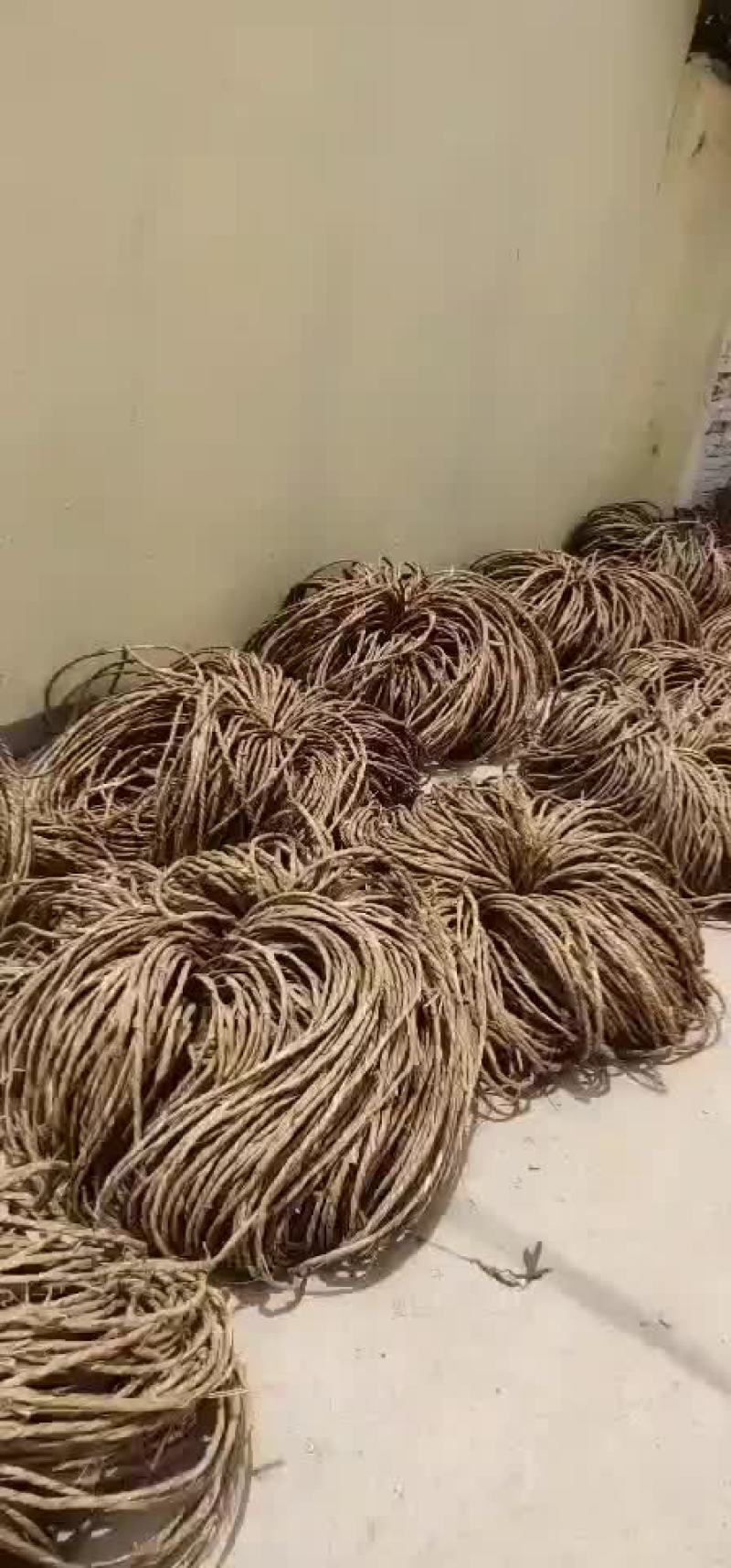 干蒲草，蒲草绳
