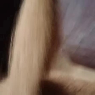 金针菇渣
