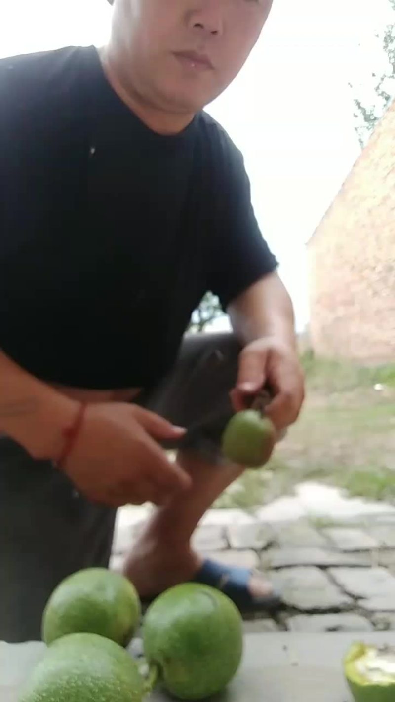 核桃现货