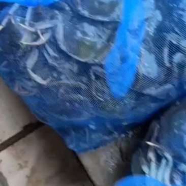水产