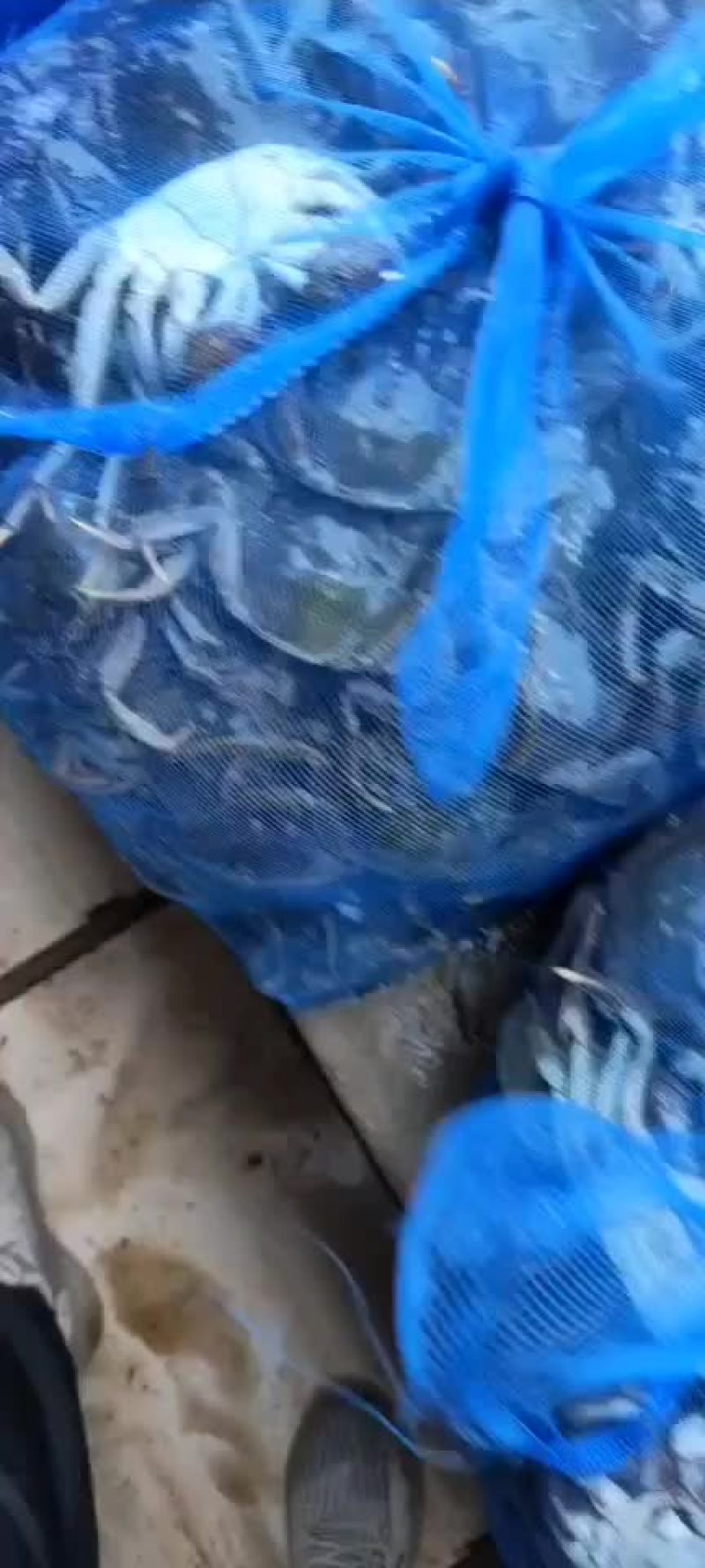 水产