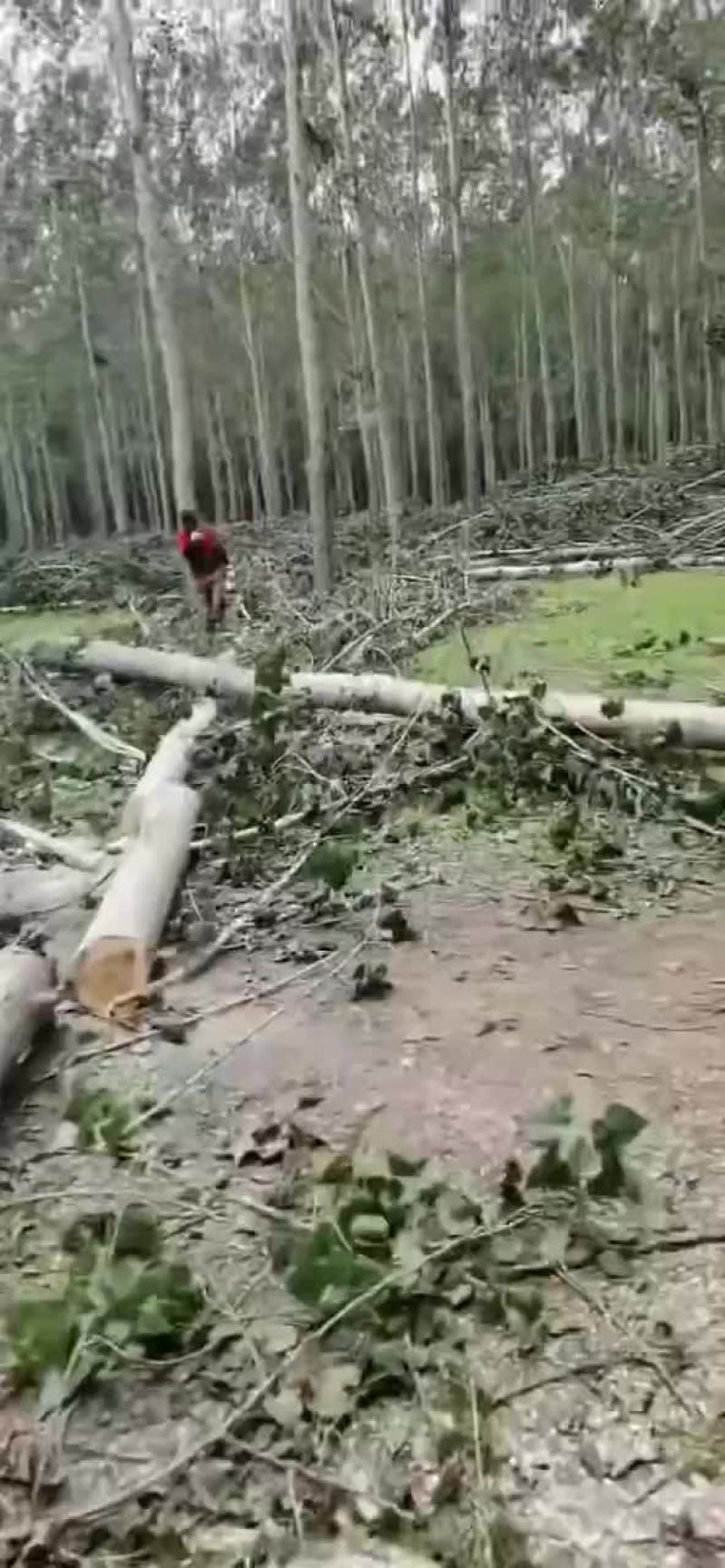 精品