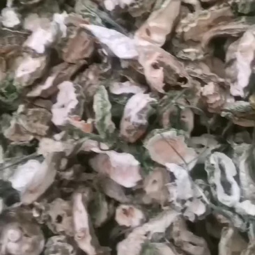 苦瓜干