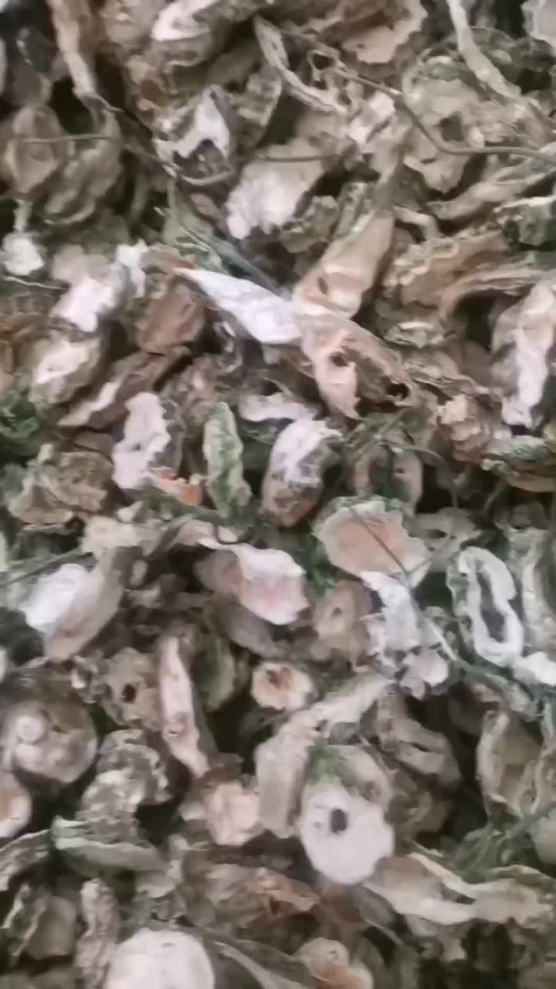 苦瓜干