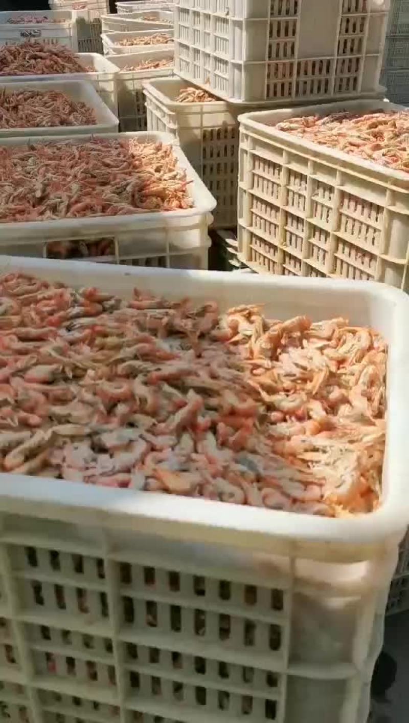 滨州市沾化区海陆丰水产品有限公司厂家发货渤海夹虾，