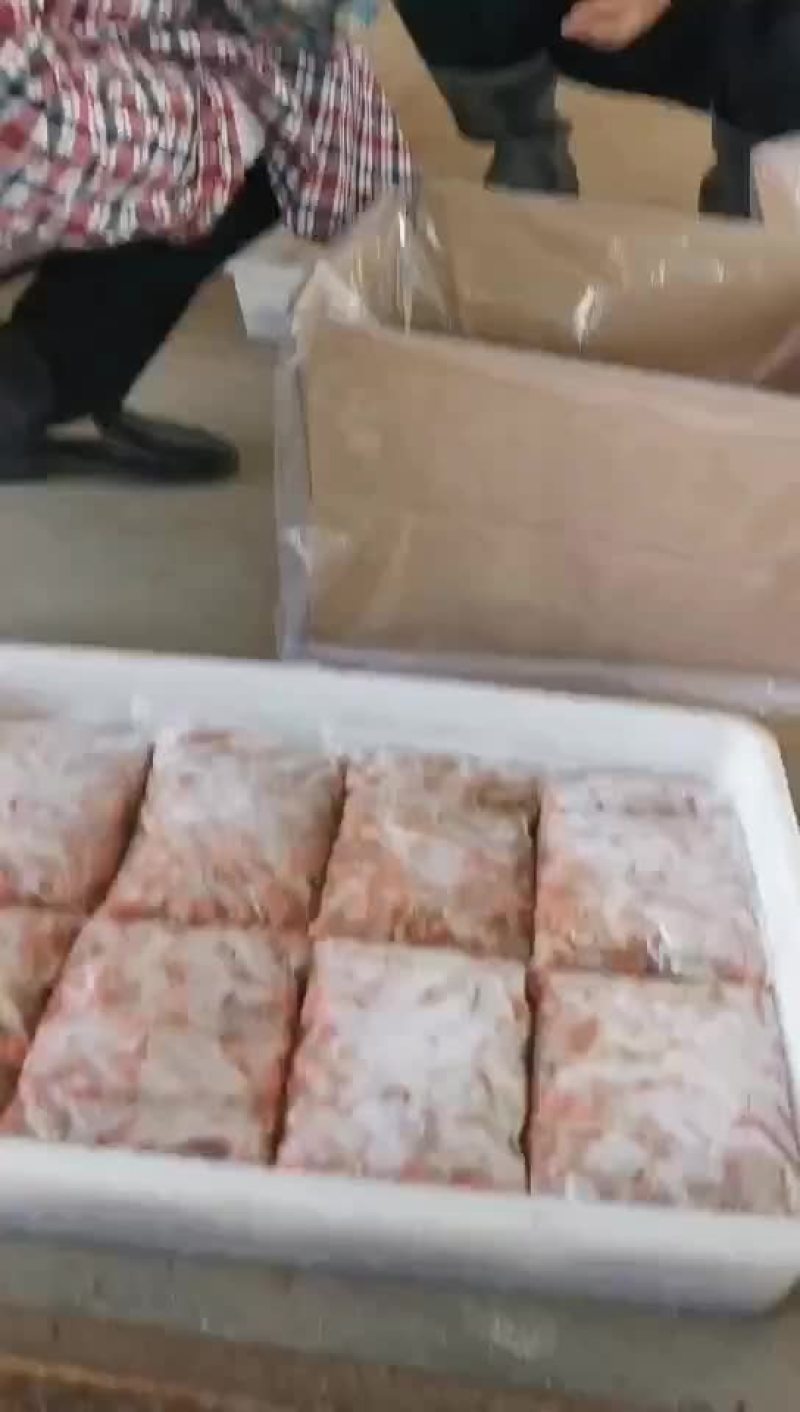 滨州市沾化区海陆丰水产品有限公司厂家发货渤海夹虾，